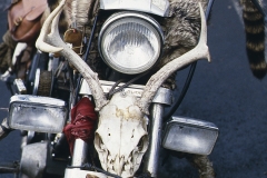 Daytona_1988_115