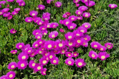 Rueckreise019